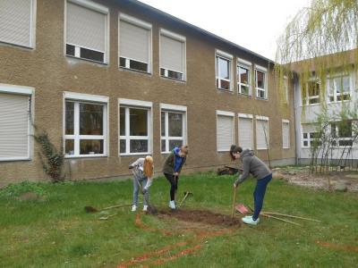 Foto des Albums: Projekt Klassen 7a und 7b (07. 04. 2017)