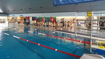 Foto des Albums: Schwimmen 2017