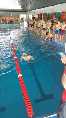 Foto des Albums: Schwimmen 2017