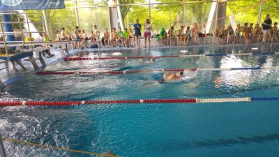 Foto des Albums: Schwimmen 2017