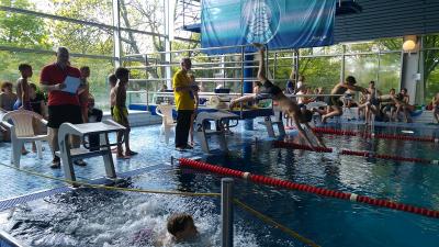 Foto des Albums: Schwimmen 2017