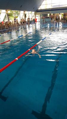 Foto des Albums: Schwimmen 2017
