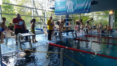 Foto des Albums: Schwimmen 2017