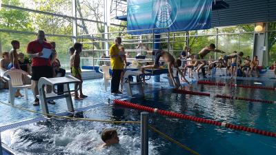 Foto des Albums: Schwimmen 2017