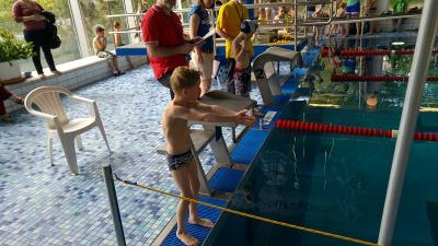 Foto des Albums: Schwimmen 2017