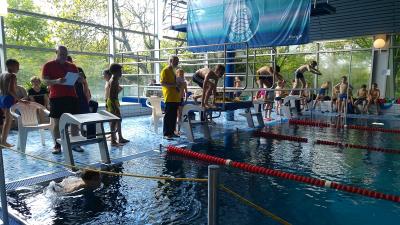 Foto des Albums: Schwimmen 2017