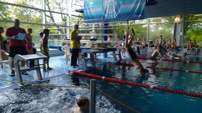 Foto des Albums: Schwimmen 2017