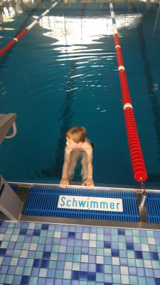 Foto des Albums: Schwimmen 2017