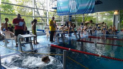Foto des Albums: Schwimmen 2017