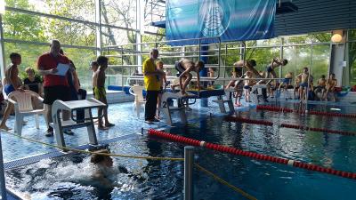 Foto des Albums: Schwimmen 2017