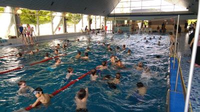 Alle schwimmen sich warm. 