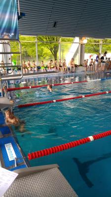 Foto des Albums: Schwimmen 2017