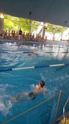 Foto des Albums: Schwimmen 2017