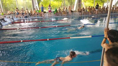 Foto des Albums: Schwimmen 2017