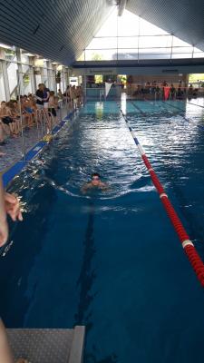 Foto des Albums: Schwimmen 2017