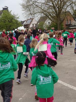 Foto des Albums: Sponsorenlauf 2017