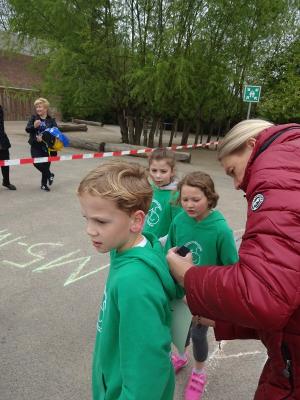 Foto des Albums: Sponsorenlauf 2017