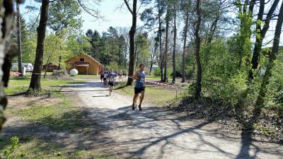 10 km Lauf 
