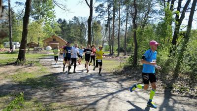 10 km Lauf 