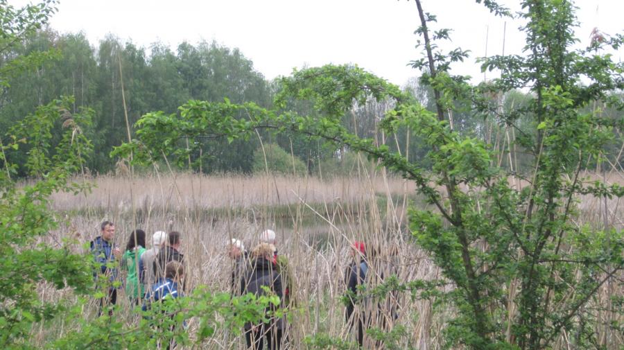 Bild: Röthehofer See