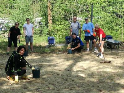 Foto des Albums: Sanierung der Beachvolleyballplätze sowie der Leichtathletikanlage im Mai 2017