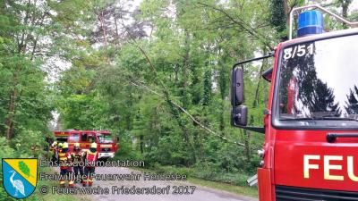 Vorschaubild: Einsatz 19/2017 | Baum droht zu stürzen | Bindow Mariannenstraße