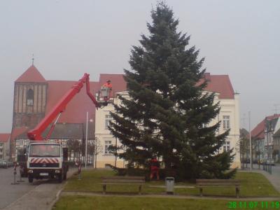 Foto des Albums: Aufstellen des Weihnachtsbaumes (28.11.2007)