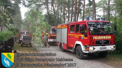Vorschaubild: Einsatz 24/2017 | Baum über Straße | Bindow Amselstieg | 30.05.2017