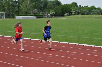 Foto des Albums: Abendsportfest Prenzlau