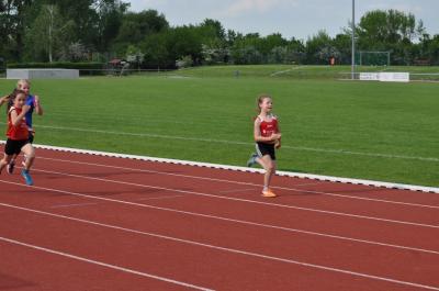Foto des Albums: Abendsportfest Prenzlau