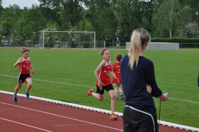 Foto des Albums: Abendsportfest Prenzlau