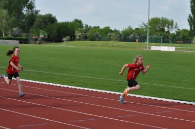 Foto des Albums: Abendsportfest Prenzlau
