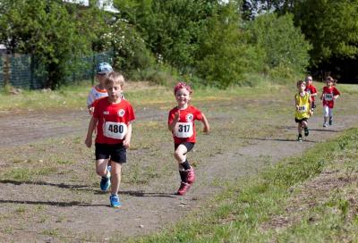 Foto des Albums: Schwedter Polderlauf