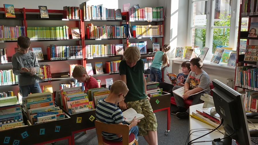 Bild der Galerie
