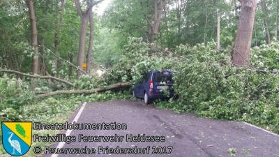 Vorschaubild:  Einsatz 37/2017 | mehrere Bäume auf Straße und PKW | Blossin Kolberger Straße