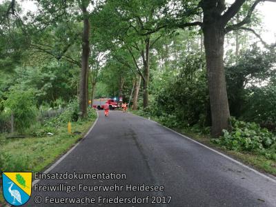 Vorschaubild:  Einsatz 37/2017 | mehrere Bäume auf Straße und PKW | Blossin Kolberger Straße