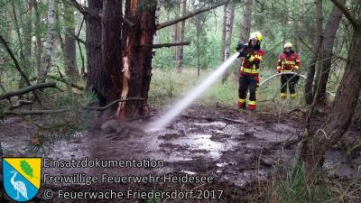 Vorschaubild: Einsatz 38/2017 | 20m² Waldbrand nach Blitzschlag | Prieros Münchehofer Straße