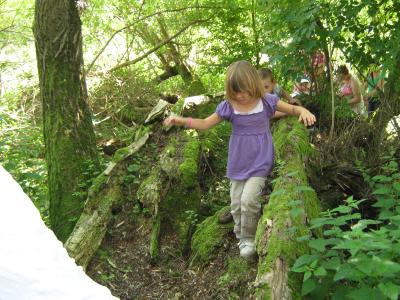 Foto des Albums: Natur
