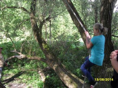 Foto des Albums: Natur