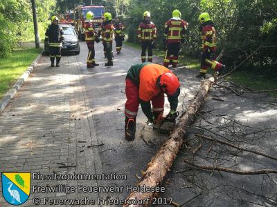 Vorschaubild: Einsatz 64/2017 | Baum auf Straße | Blossin Waldweg