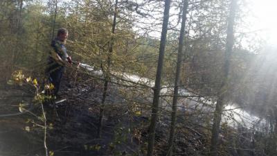 Foto des Albums: Einsatz 30.08.2017 und 31.08.2017