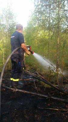 Foto des Albums: Einsatz 30.08.2017 und 31.08.2017