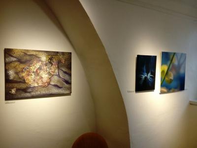 Foto des Albums: Kunstpreis 2017