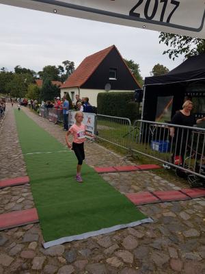 Foto des Albums: Schorfheidelauf