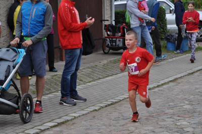 Foto des Albums: Schorfheidelauf