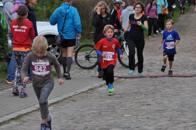 Foto des Albums: Schorfheidelauf