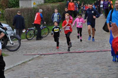 Foto des Albums: Schorfheidelauf