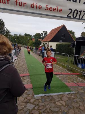 Foto des Albums: Schorfheidelauf