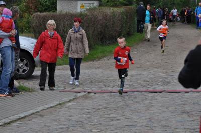 Foto des Albums: Schorfheidelauf