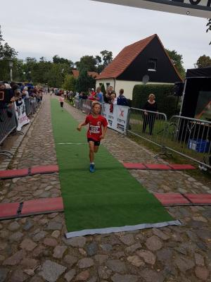 Foto des Albums: Schorfheidelauf